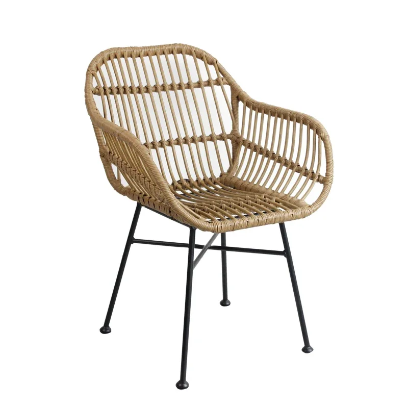 Sedie da pranzo nordiche per c - Outdoor Furniture Iron recensione e prezzo