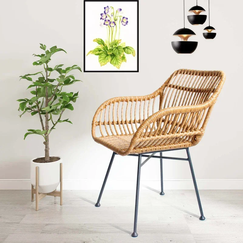Sedie da pranzo nordiche per c - Outdoor Furniture Iron recensione e prezzo